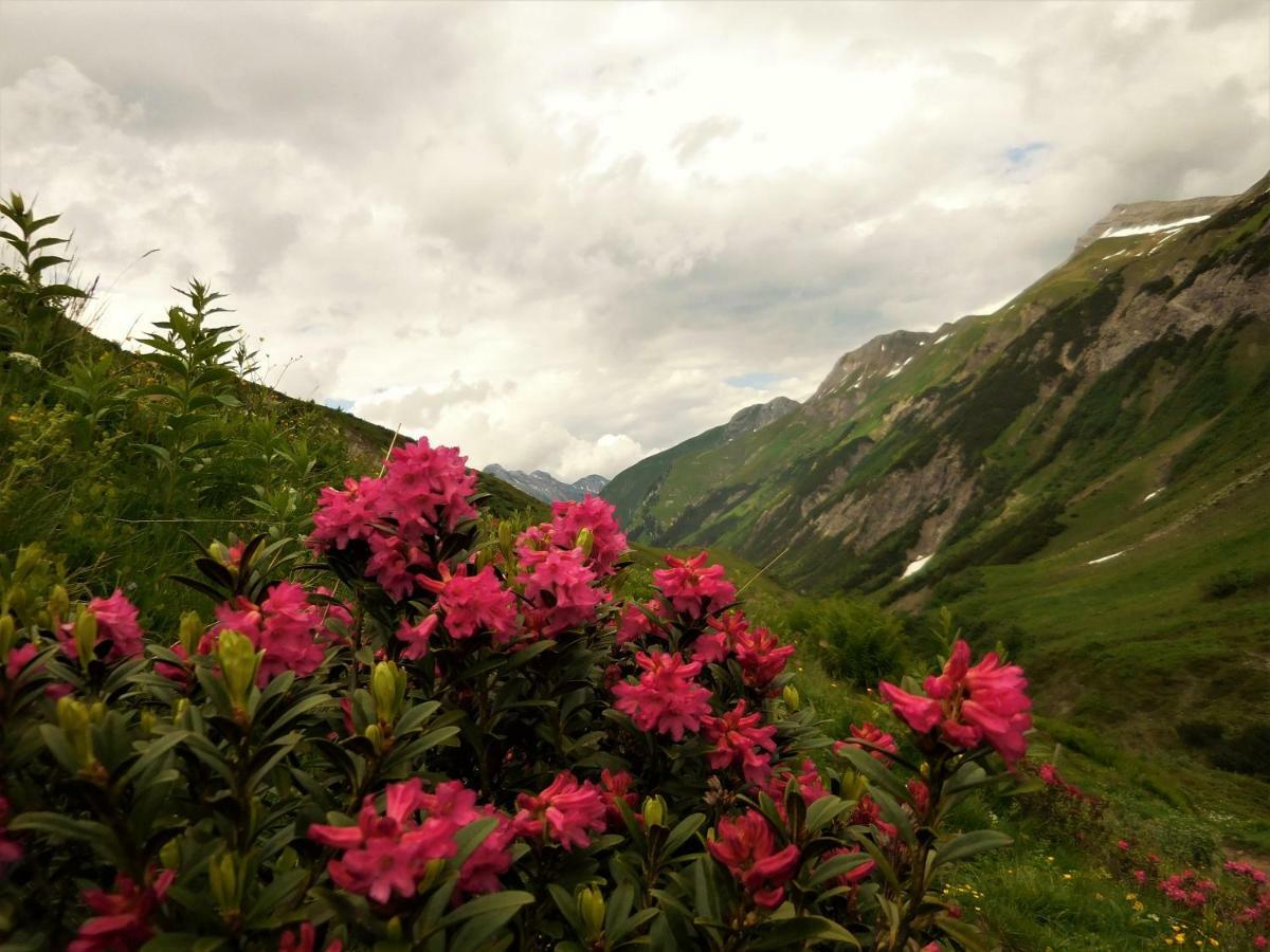 Styrolerhof 3* Steeg